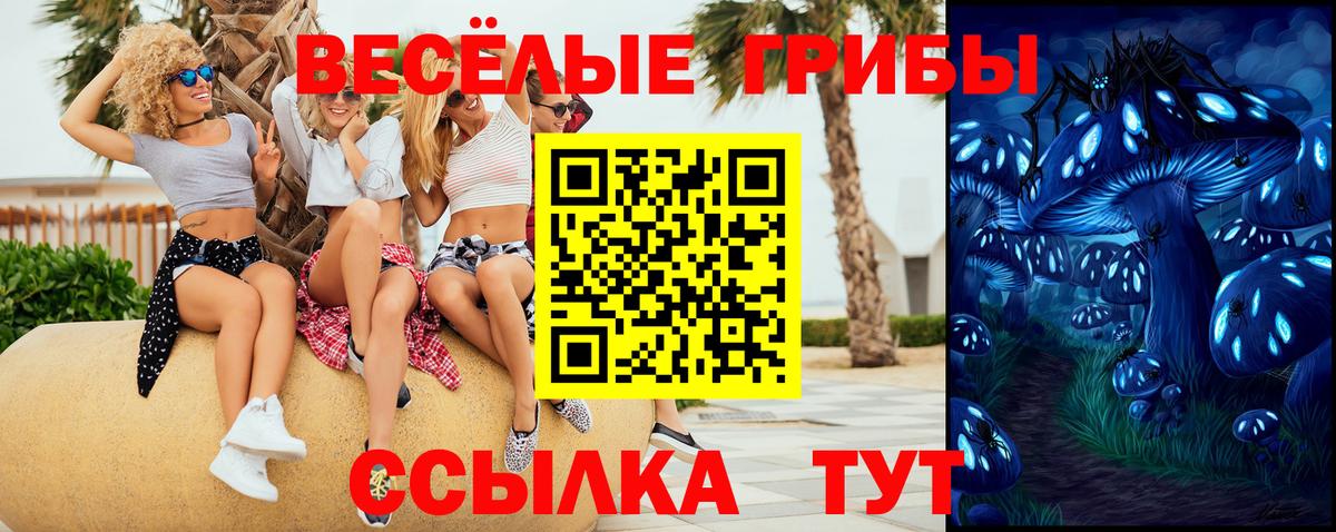 Псилоцибиновые грибы мицелий  Псилоцибиновые грибы GOLDEN TEACHER  Вход с VPN  Красный Сулин 
